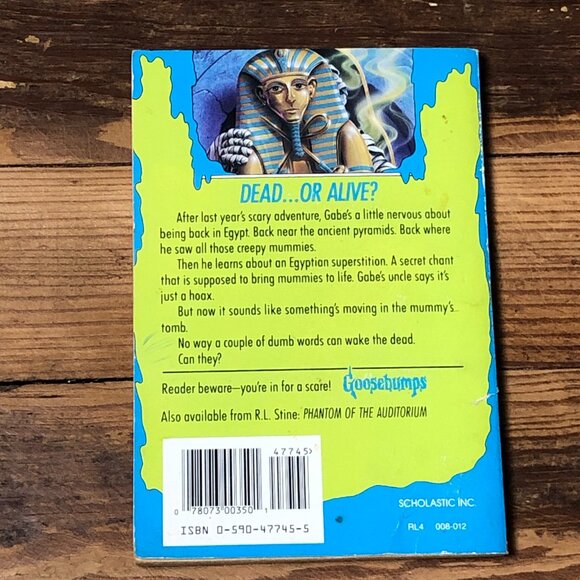 Goosebumps #23 Return of the Mummy Paperback Book R. L. Stine 1994 First… - Picture 2 of 8